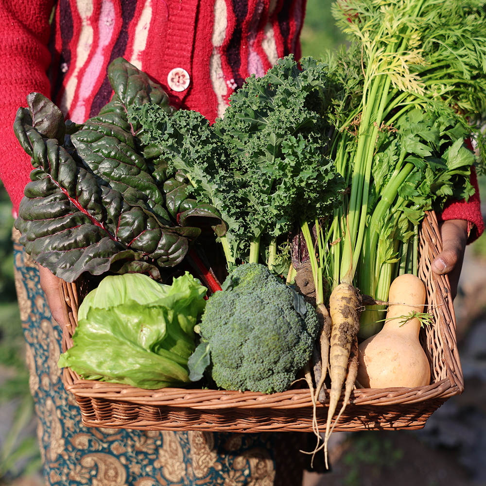Project Bageecha: Let the Farm Plan Your Week