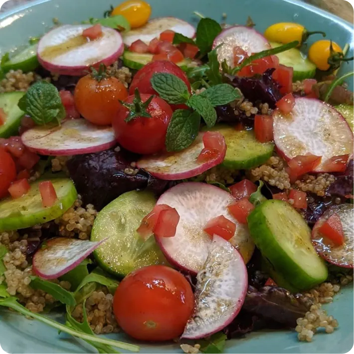 Quinoa Vegan Salad