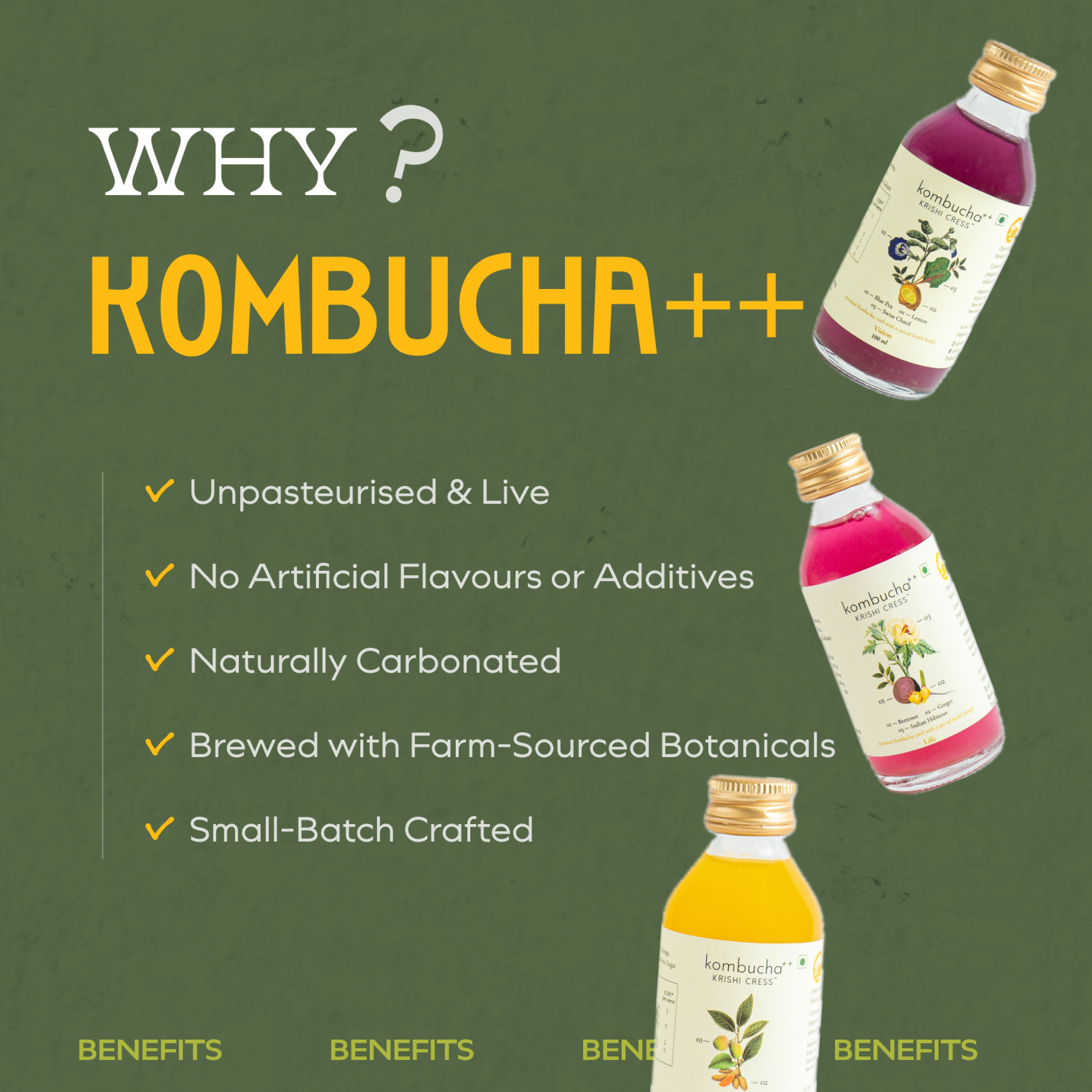 Kombucha ++ Trial Pack of 10 (100ml each)