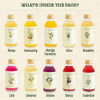 Kombucha ++ Trial Pack of 10 (100ml each)