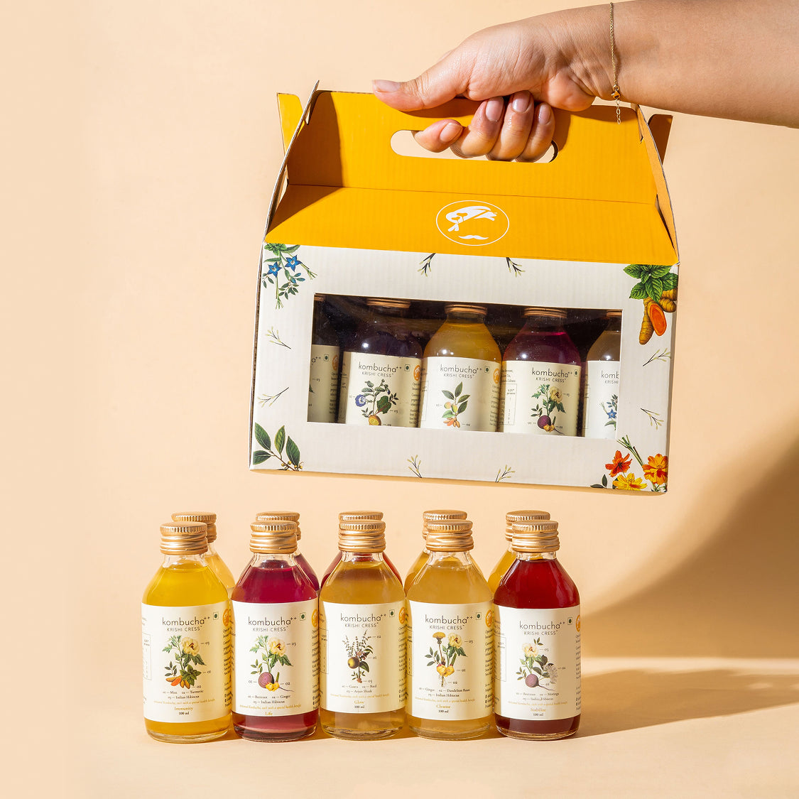 Kombucha ++ Trial Pack of 10