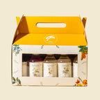 Kombucha ++ Trial Pack of 10