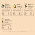 Kombucha ++ Trial Pack of 10