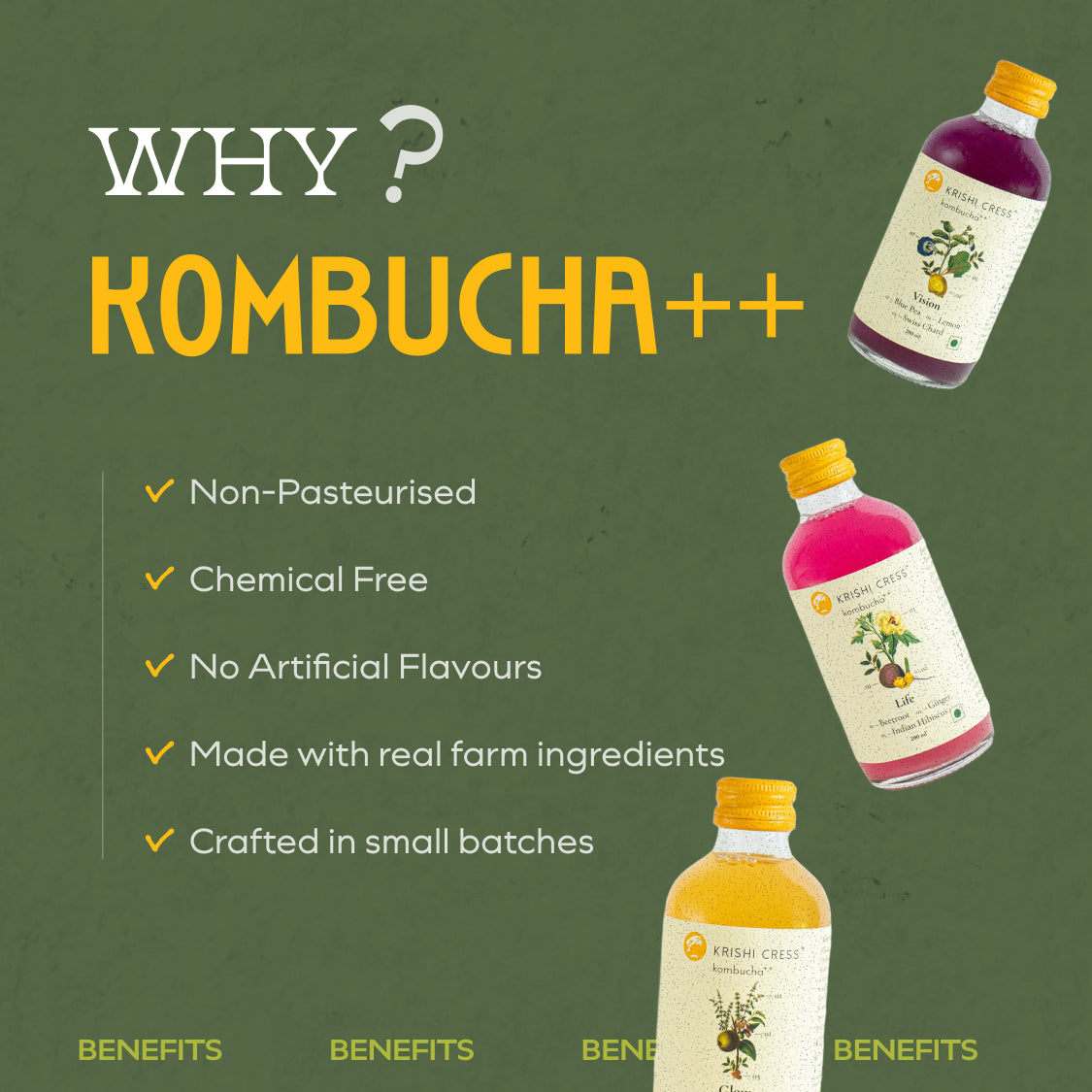 Kombucha ++ Trial Pack of 10