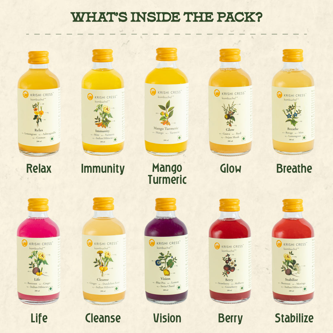 Kombucha ++ Trial Pack of 10