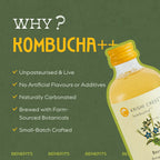 Breathe Kombucha - Borage, Japanese Mint and Lemongrass - 1 litre