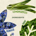 Breathe Kombucha - Borage, Japanese Mint and Lemongrass - 1 litre