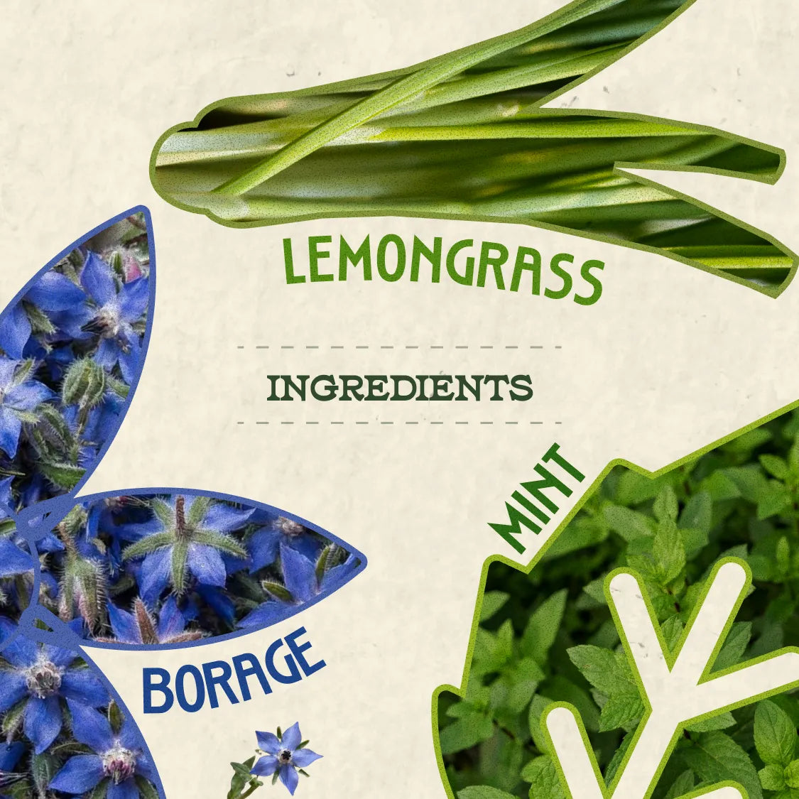 Breathe Kombucha - Borage, Japanese Mint and Lemongrass - 1 litre