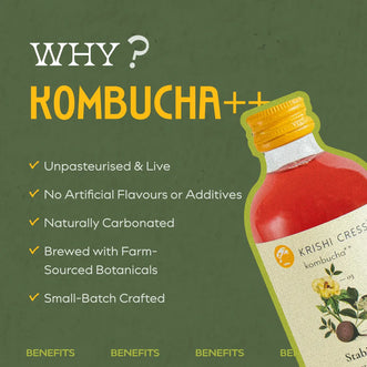 Stabilize Kombucha - Beetroot, Moringa and Indian Hibiscus - 1 litre
