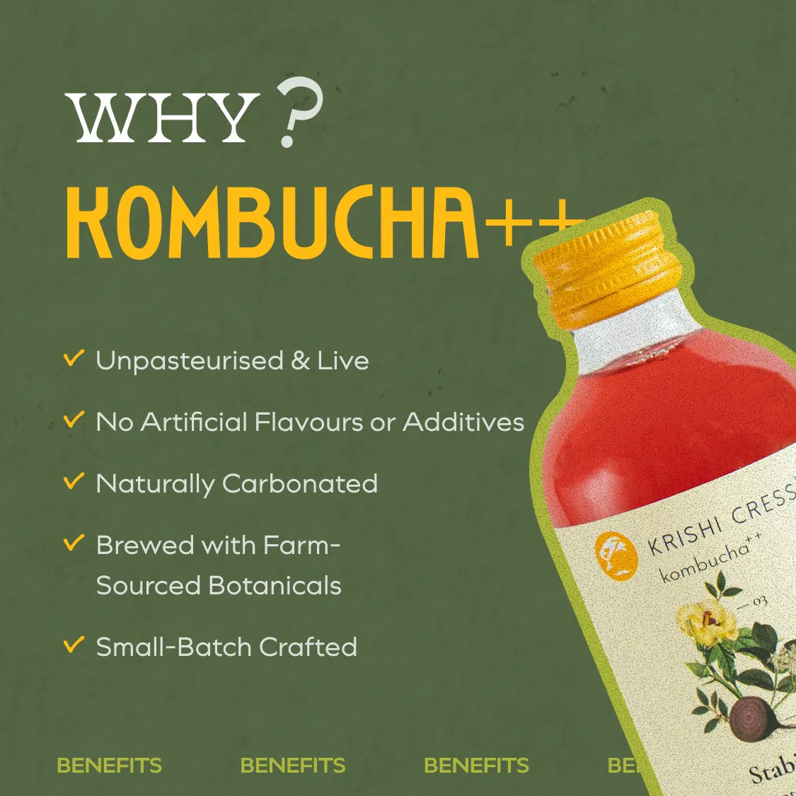 Stabilize Kombucha - Beetroot, Moringa and Indian Hibiscus - 1 litre