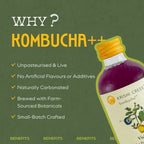 Vision Kombucha - Blue Pea, Swiss Chard and Lemon -1 litre