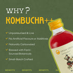 Berry Kombucha - Strawberry, Gooseberry and Mulberry - 1 litre