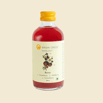 Berry Kombucha - Strawberry, Gooseberry and Mulberry