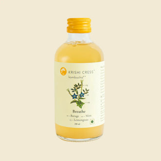 Breathe Kombucha - Borage, Japanese Mint and Lemongrass