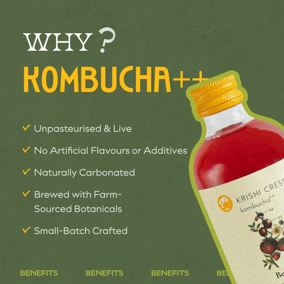 Berry Kombucha - Strawberry, Gooseberry and Mulberry