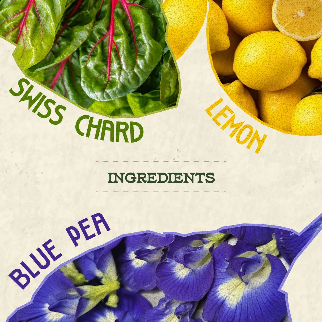 Vision Kombucha - Blue Pea, Swiss Chard and Lemon