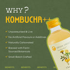 Cleanse Kombucha - Ginger, Okra and Dandelion Root