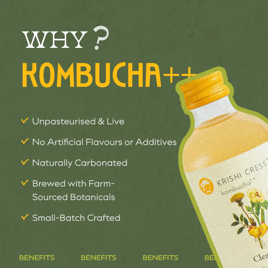 Cleanse Kombucha - Ginger, Okra and Dandelion Root