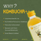 Glow Kombucha - Basil, Guava and Arjun Shak