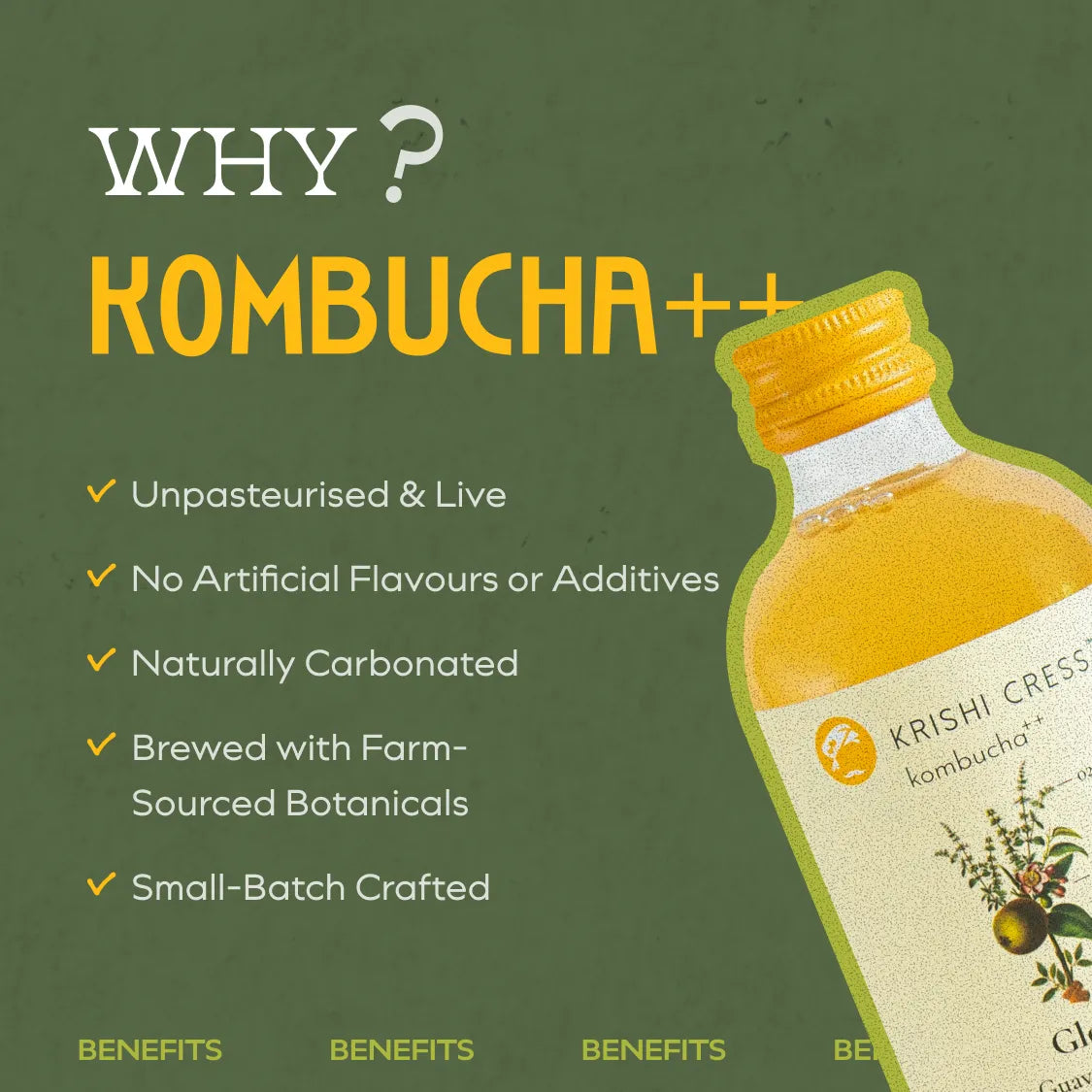 Glow Kombucha - Basil, Guava and Arjun Shak