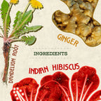 Cleanse Kombucha - Ginger, Okra and Dandelion Root