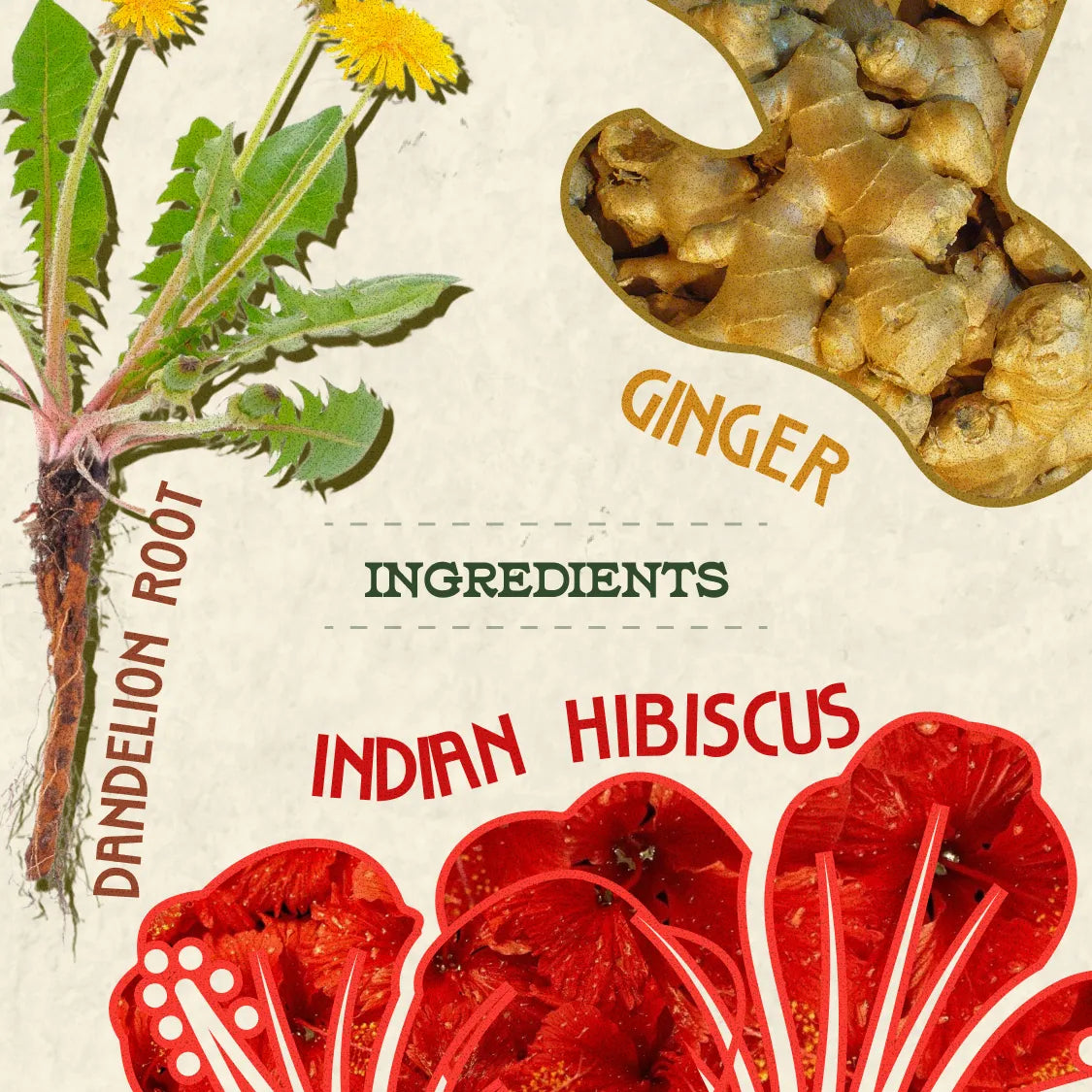 Cleanse Kombucha - Ginger, Okra and Dandelion Root
