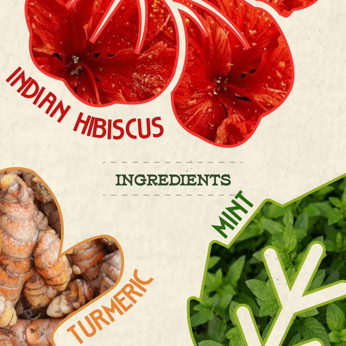 Immunity Kombucha - Mint, Turmeric and Indian Hibiscus