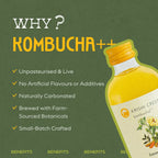 Mango & Passion fruit Kombucha