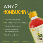 Stabilize Kombucha - Beetroot, Moringa and Indian Hibiscus