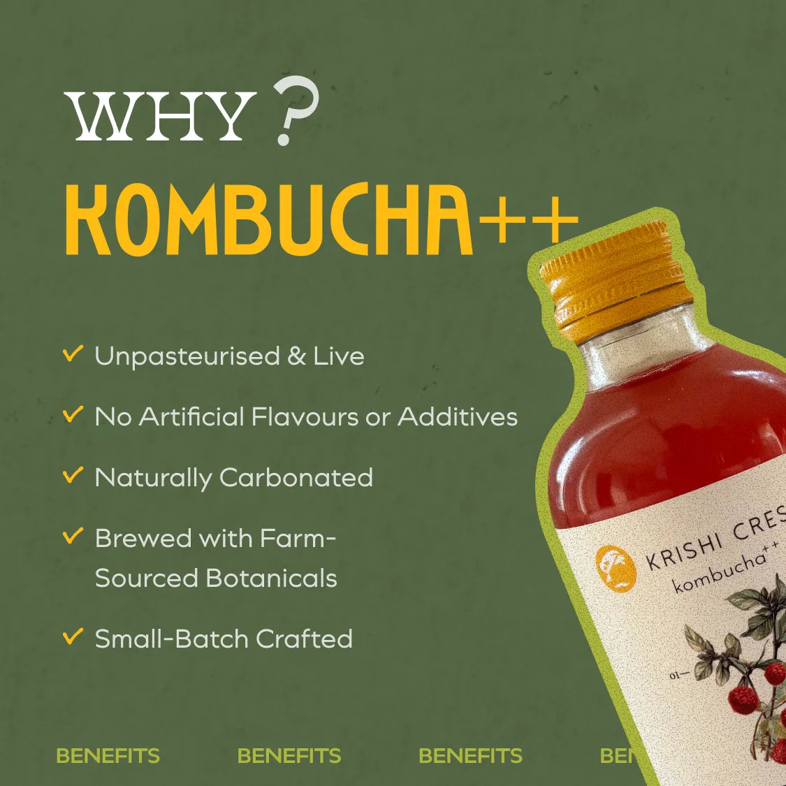 Raspberry Lemon Basil Kombucha