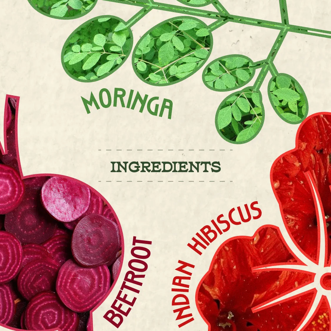 Stabilize Kombucha - Beetroot, Moringa and Indian Hibiscus