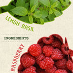 Raspberry Lemon Basil Kombucha