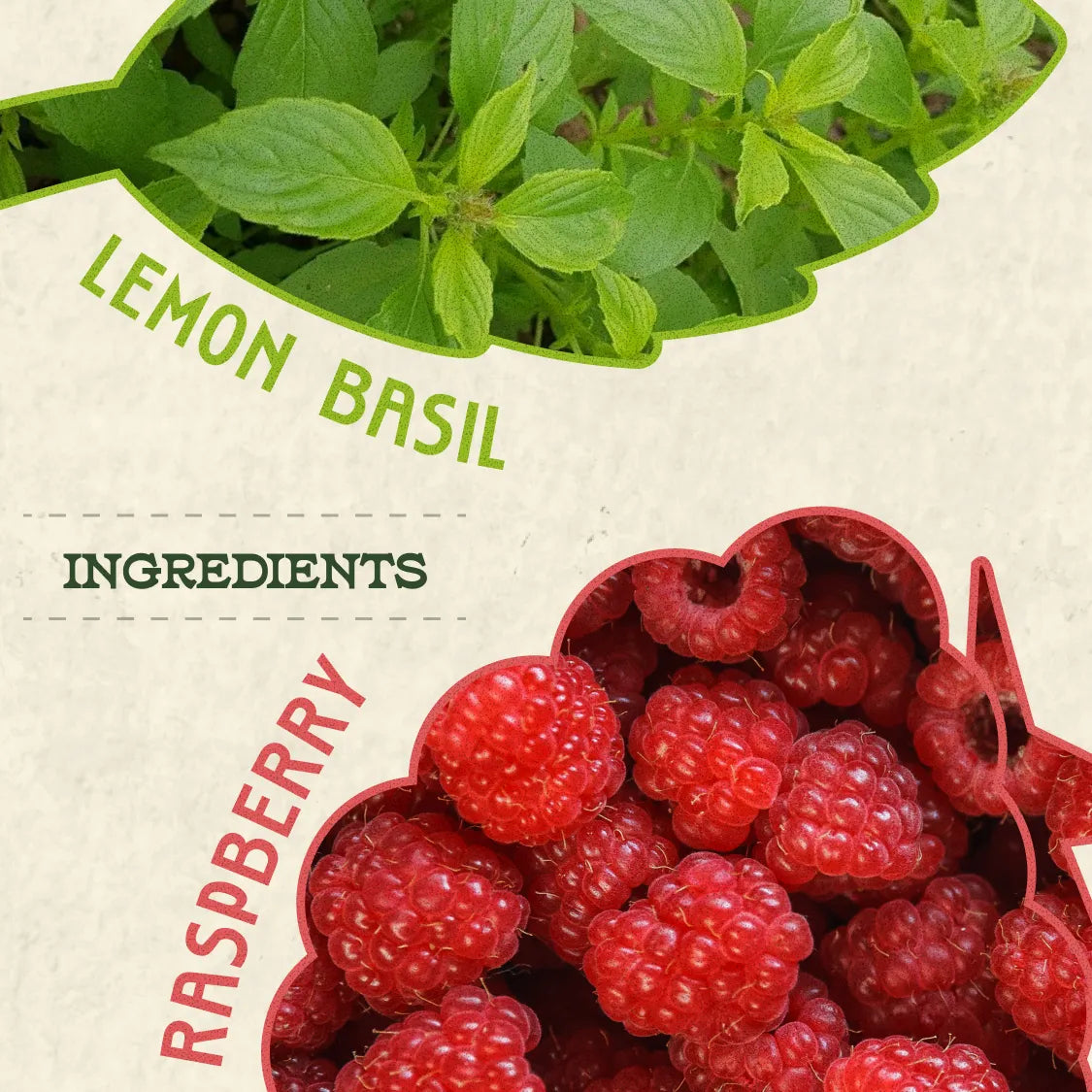 Raspberry Lemon Basil Kombucha