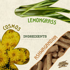 Relax Kombucha - Lemongrass, Cosmos and Ashwagandha