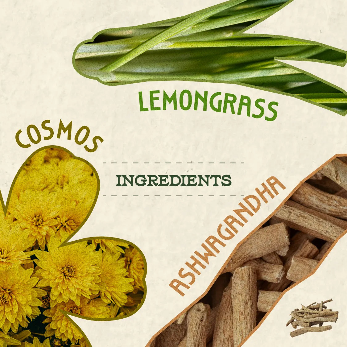 Relax Kombucha - Lemongrass, Cosmos and Ashwagandha