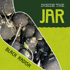 Pickled Black Japanese Daikon Radish