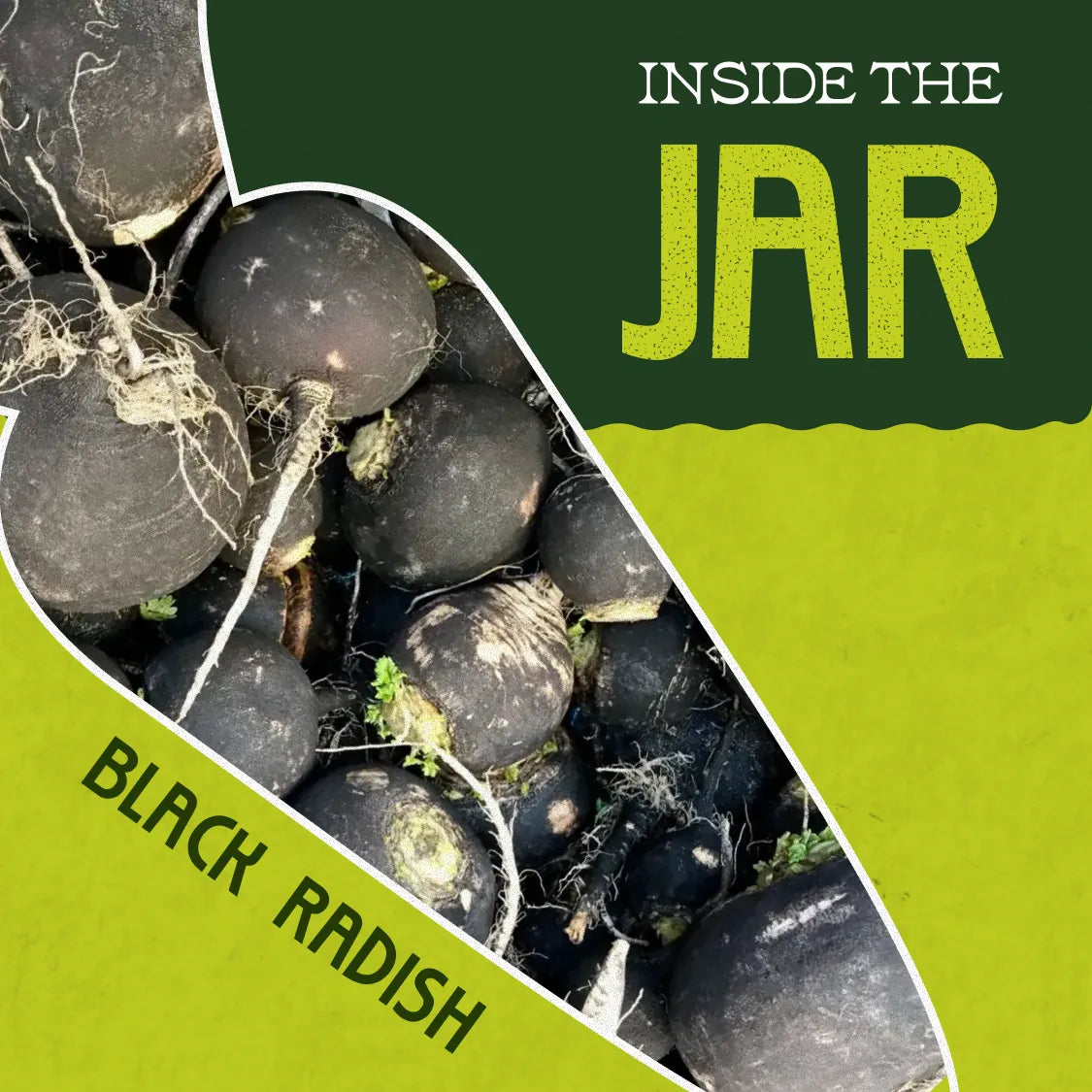 Pickled Black Japanese Daikon Radish