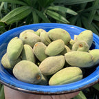 Almonds (Green)