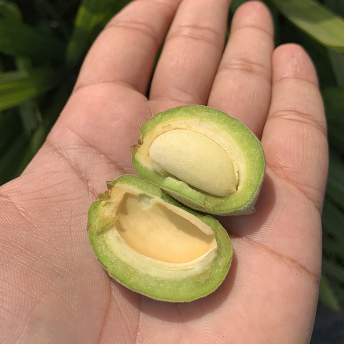 Almonds (Green)