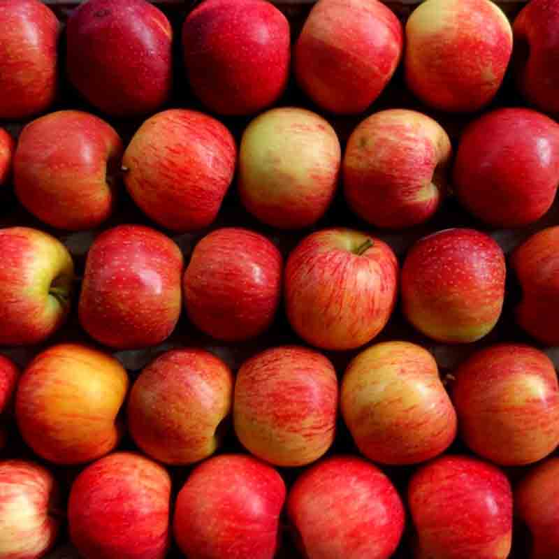 Apple (Kinnor)