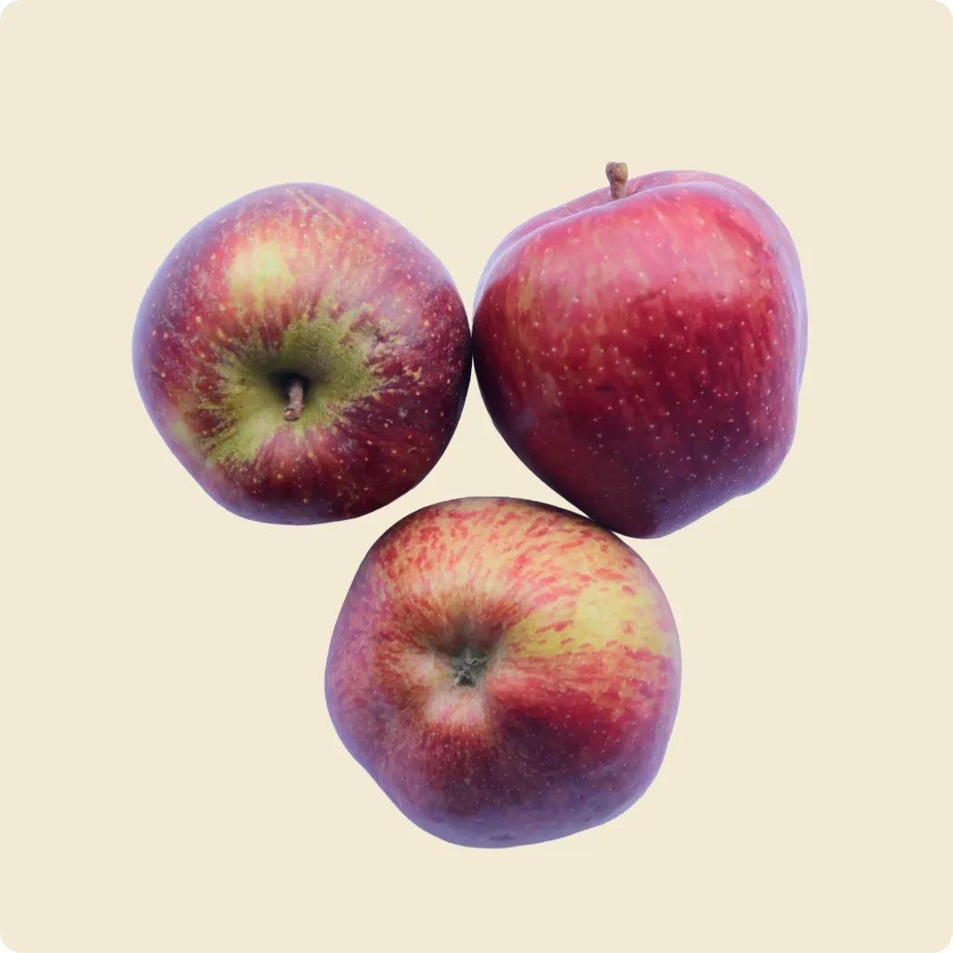 Apple (Kinnor)