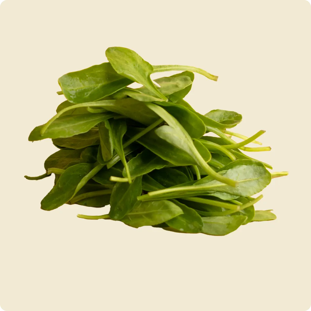 Baby Spinach