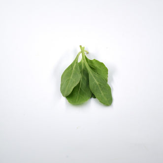 Baby Spinach