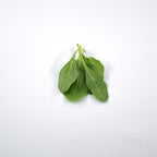 Baby Spinach