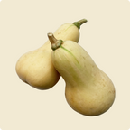 Butternut Squash