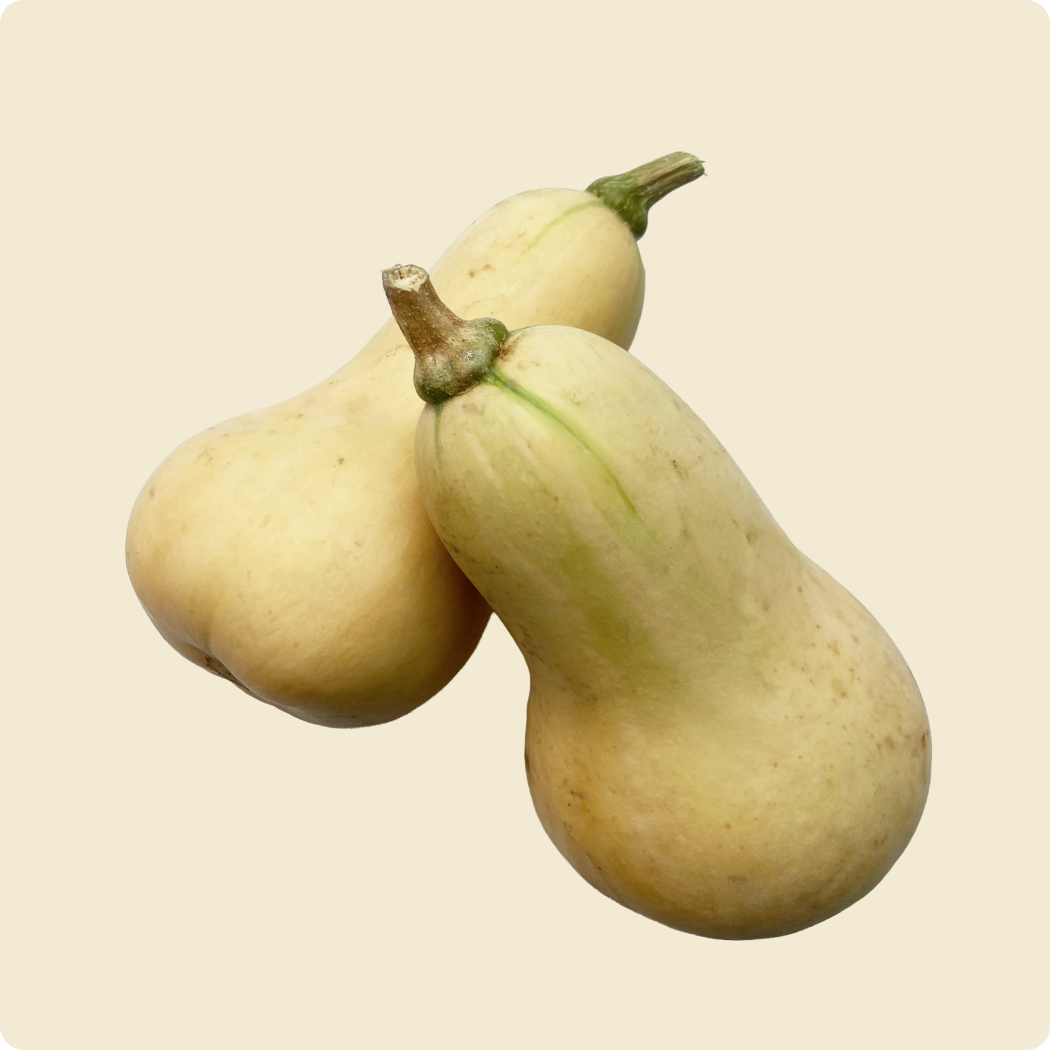 Butternut Squash