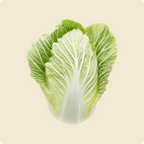 Cabbage (Chinese)