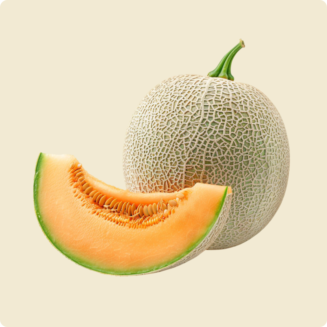 Cantaloupe Melon