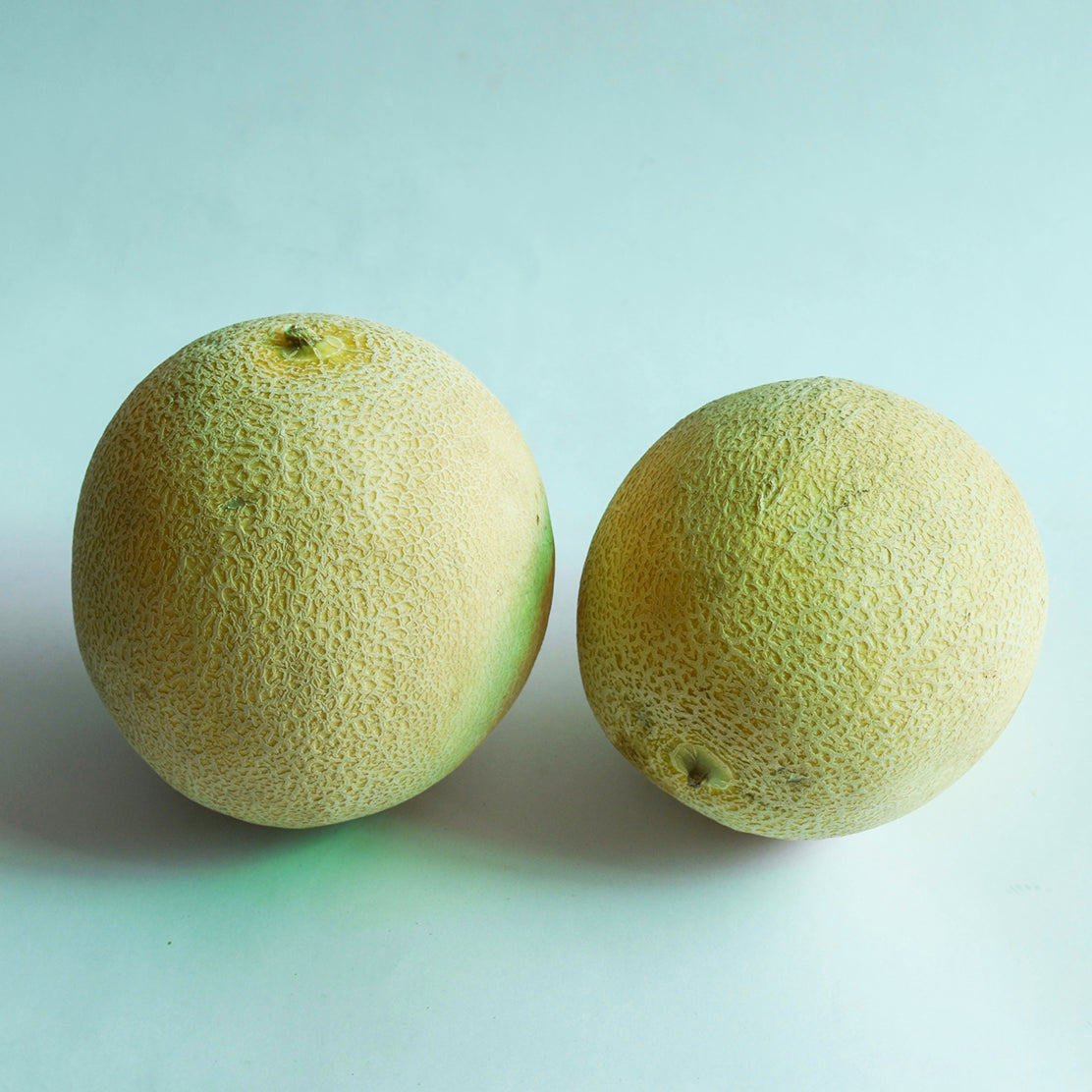 Cantaloupe Melon