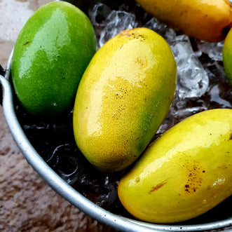 Mango (Malihabad Dasheri)